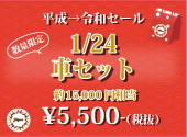 【平成→令和 セール】1/24 車セット