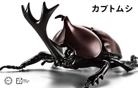 自由研究21 いきもの編 カブトムシ 自由研究シリーズの通販ならfujimi フジミ模型株式会社fujimi フジミ模型株式会社 自由研究21 いきもの編 カブトムシ 自由研究シリーズの通販ならfujimi フジミ模型株式会社fujimi フジミ模型株式会社