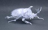 自由研究21EX-1 いきもの編 カブトムシ 特別仕様(クリアー)