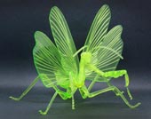自由研究23EX-2 いきもの編 オオカマキリ 特別仕様(クリアーグリーン)