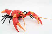 自由研究242 エヴァンゲリオン編 アメリカザリガニ 2号機仕様
