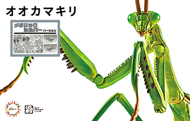 カオリ様 ヴァイオリン 2023年製作 ガルネリモデル 演奏 Vn 嶋岡史香さん