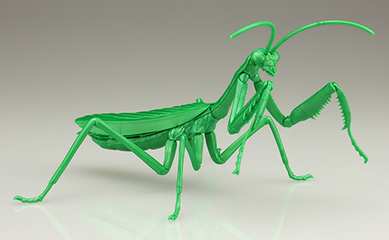 自由研究23EX-3 いきもの編 オオカマキリ（メタリックグリーン