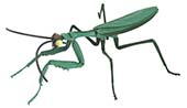自由研究233 ヤッターマン編 オオカマキリ ボヤッキーver.