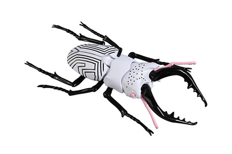 自由研究2203 ウルトラ怪獣編 クワガタムシ ダダ仕様 